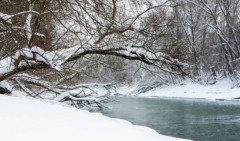 hydrology, Belarus, belarussian rivers, rivers, lakes, reservoirs, water temperature, water level